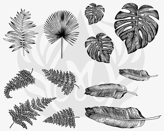 Watercolor monstera tropical leaves seamles pattern - a Royalty Free Stock  Photo from Photocase